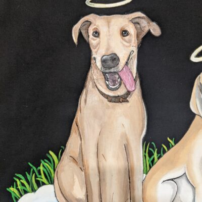 Handpainted Pet Hoodie